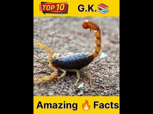 Top 10 | G.K. Amazing Facts | By~ Dear Vimal | #amazingfacts #ytshortsindia #gk #gkfacts #gkinhindi