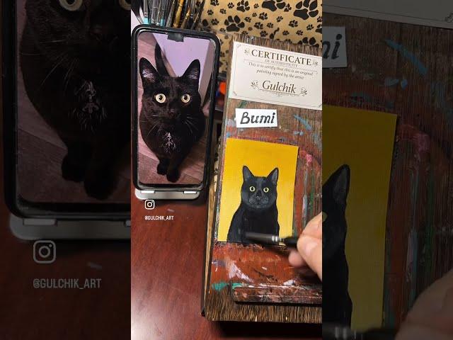 Custom portrait of a cat Bumi