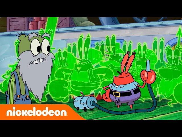 SpongeBob Schwammkopf | Mr. Krabs Urururgroßvater | Nickelodeon Deutschland