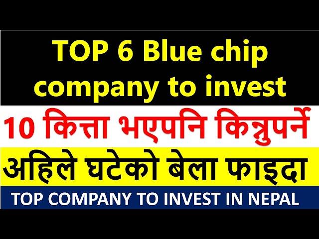 TOP 6 bluechip comany in Nepal to long term investment| best company to invest | Edu Kishan