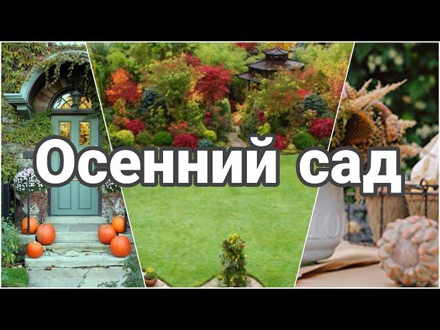 Прекрасный осенний сад.