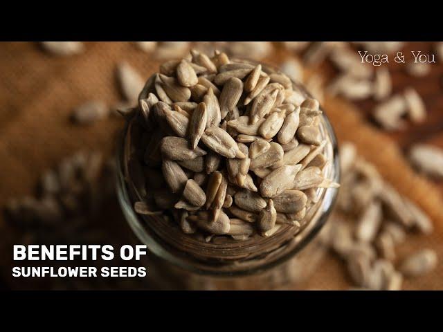 Health Benefits of Sunflower Seeds | Sunflower Seeds Benefits | @VentunoYoga