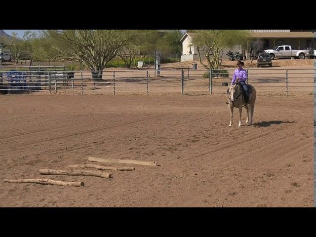 Bud Lyon: Rider Position Over Trot Logs