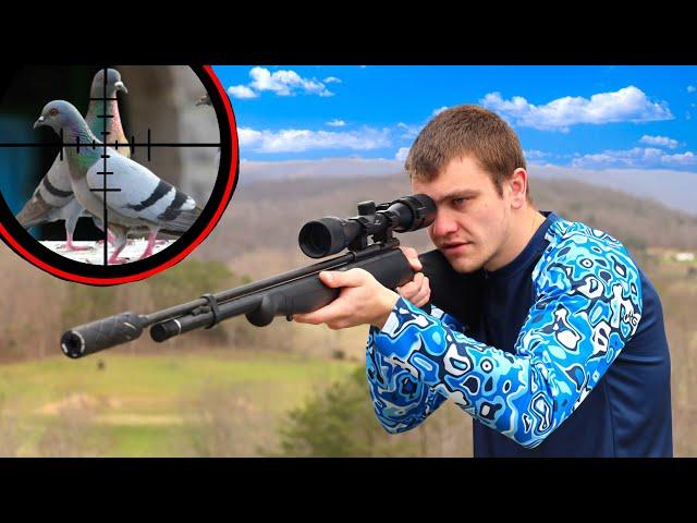 Scope Cam Hunting Pigeons with Suppressed Pellet Gun!