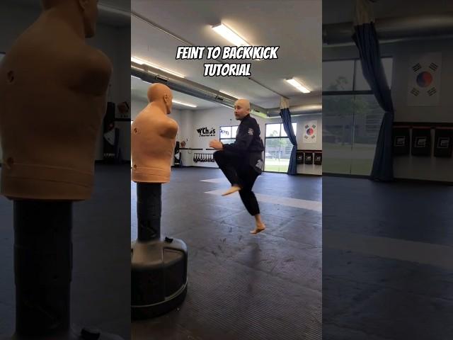 Feint to Back Kick Tutorial! #kickboxing #muaythai #karate #taekwondo #mma #trending #viral  #shorts