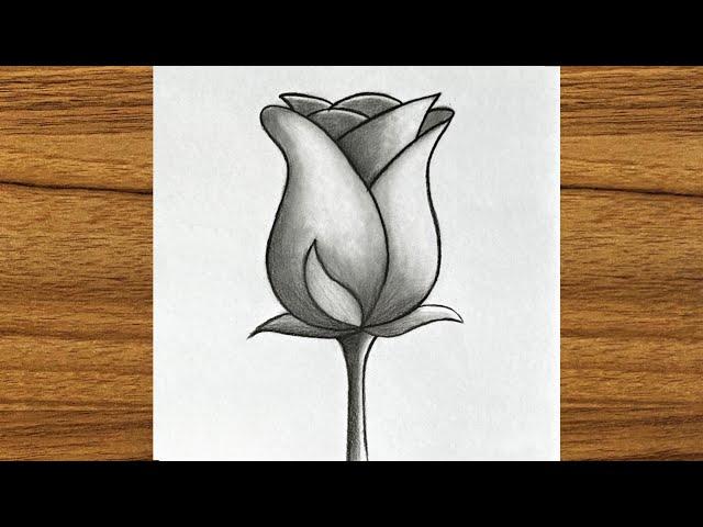 How to draw a beautiful rose || Very easy pencil drawing || Beginners drawing tutorials step by step