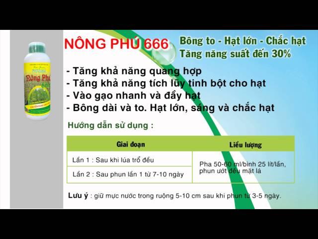 Hướng dẫn quy trình bón phân cho lúa đạt năng suất cao