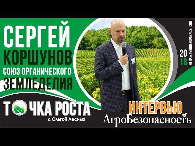 Точка роста с Ольгой Лесных. Сергей Коршунов