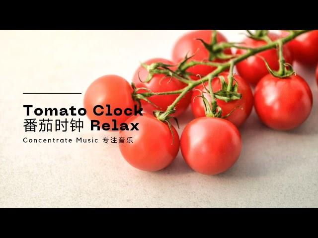 DailyBGM日常 TomatoClock【Concentration Music Relax 番茄时钟 专注音乐】全网最佳的专注音乐心情陪伴 | The Best Productive Music