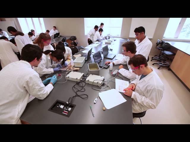 Schulich Medicine & Dentistry - Bachelor of Medical Sciences Profile