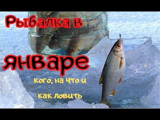 Рыбалка в январе: кого, на что и как ловить