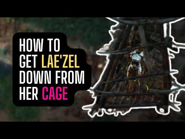 How To Get Lae'zel Down From Her Cage | Baldur's Gate 3