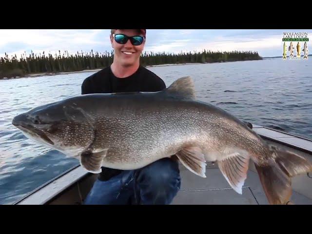 TOP 3 BIGGEST LAKE TROUT EVER CAUGHT! (compilation)