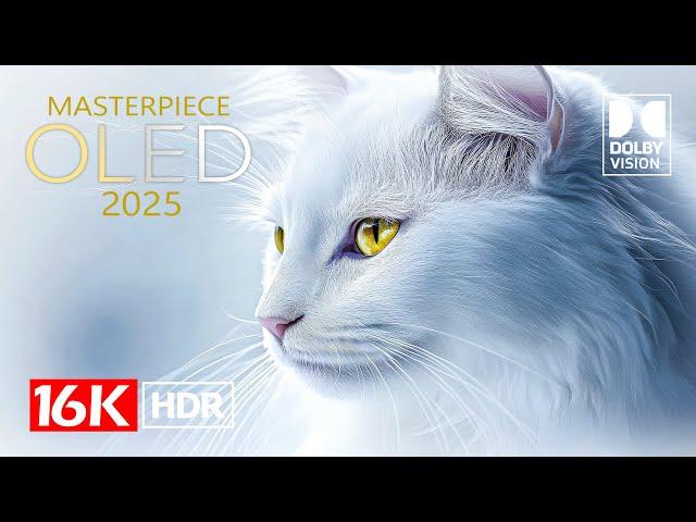 MASTERPIECE Dolby Vision HDR 16K Video ULTRA HD  (4K / 8K TV)