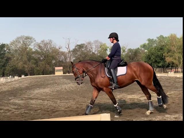 Kasey Perry clinic, canter work