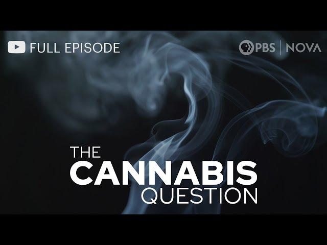 The Cannabis Question I Full Documentary I NOVA I PBS