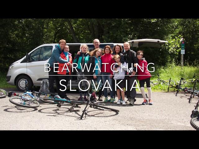 HIKING BEARWATCHING PRIVATE TOUR IN SLOVAKIA WITH ADVENTOURA