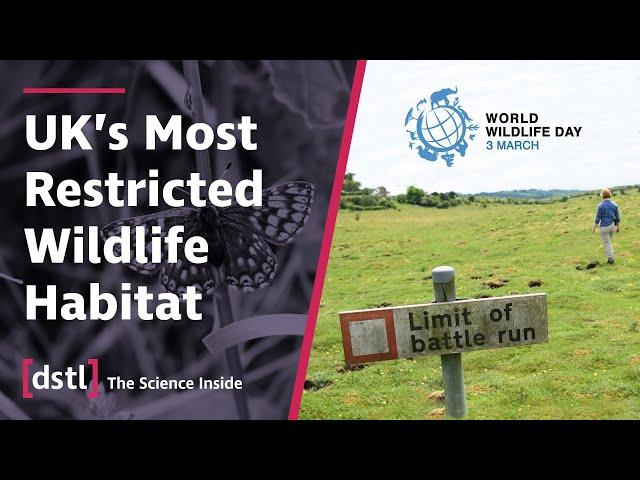 The UK's Most Restricted Wildlife Habitat | The Nature Found at Dstl Porton Down