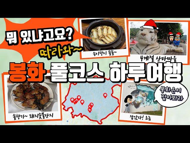 구석구석 다녀온 봉화군 여행~ #2 | 봉화읍 맛집 | 봉화 차박지 추천 | 솔봉이 | 봉화 여행코스 | 띠띠미마을 | 200