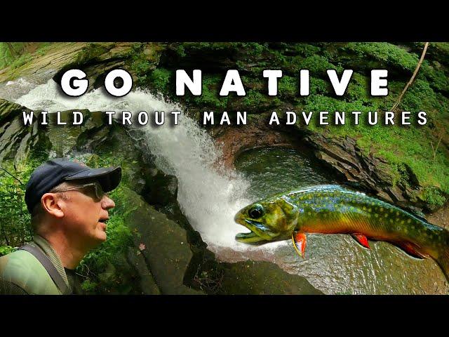 Go Native - BROOK TROUT Fly Fishing Pennsylvania Mountain Stream