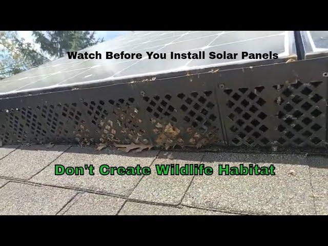 Solar Panel Warning Before Install | Don't Forget About Critters | Squirrels & Birds