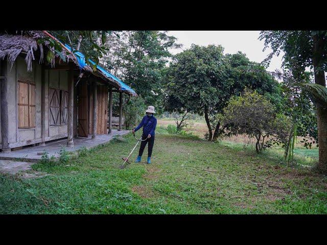 Single mother: Cleaning grass around the house, taking care of chickens - Ly Tieu Tuyet