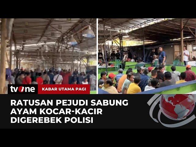 Detik-detik Polisi Gerebek Arena Judi Sabung Ayam di Bekasi | Kabar Utama Pagi tvOne