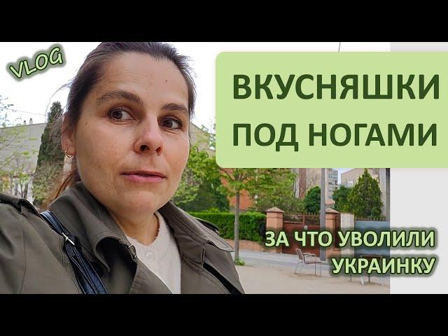 ВЛОГ: ДЕЛИКАТЕСЫ ПОД НОГАМИ В ИСПАНИИ | ЗА ЧТО УВОЛИЛИ УКРАИНКУ