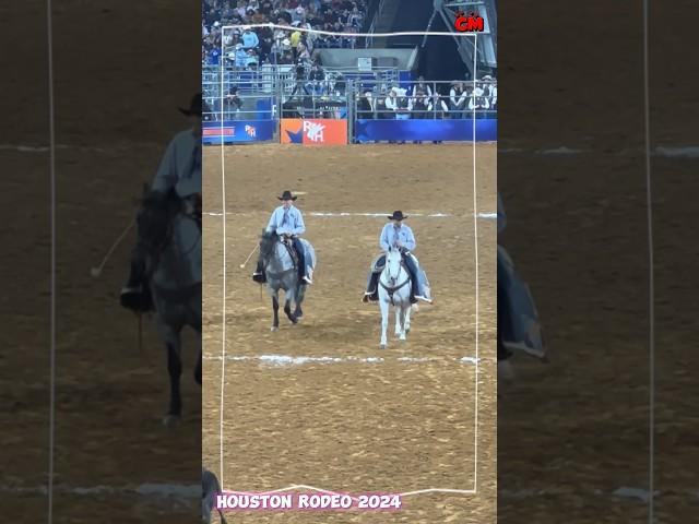 Houston Rodeo Horse #CM_o8o1 #HoustonRodeo #HoustonRodeo2024