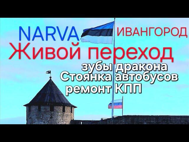 Живой переход из Нарвы в Ивангород | Мост Дружбы | Зубы дракона | Стоянка автобусов после перехода