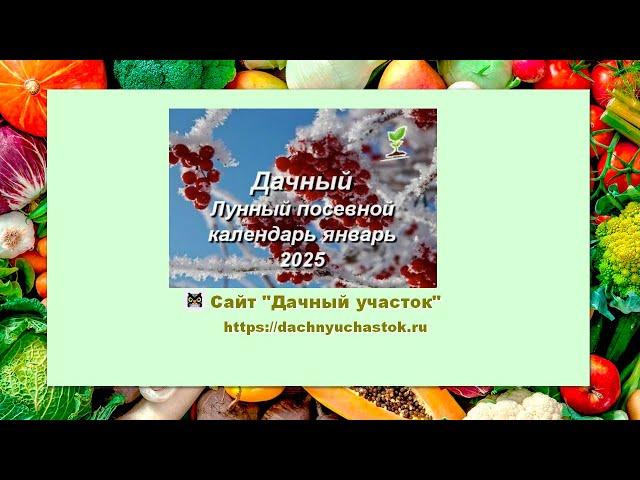 Лунный посевной календарь на январь 2025 года для садоводов, огородников и цветоводов