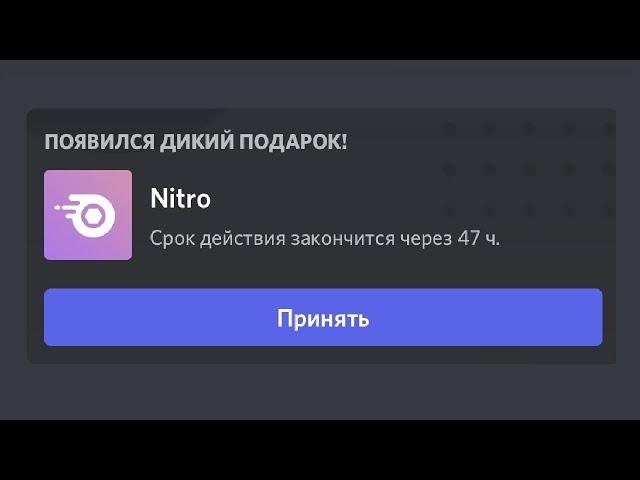 Легчайшее Discord Nitro (150,000 IQ)