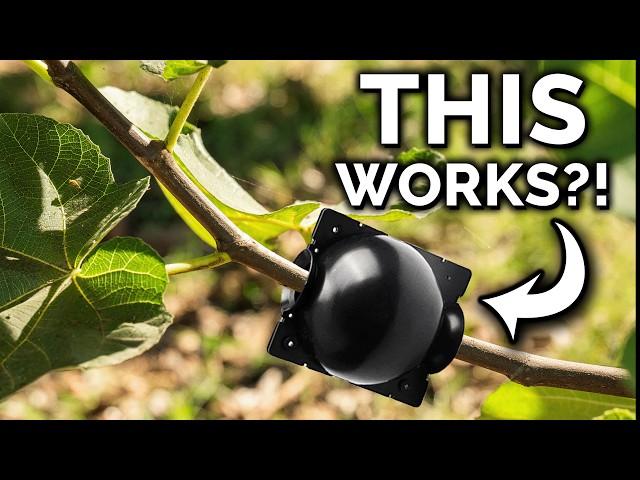 7 Incredible Gardening Hacks That ACTUALLY Work