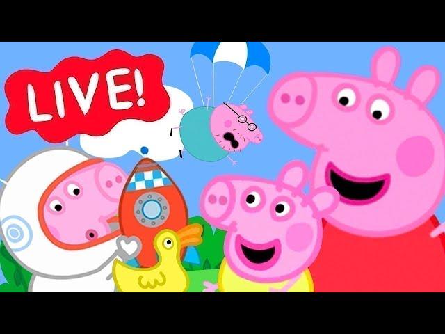  Peppa Pig | Full Episodes | All Series | Live 24/7  @Peppa Pig - Official Channel Livestream