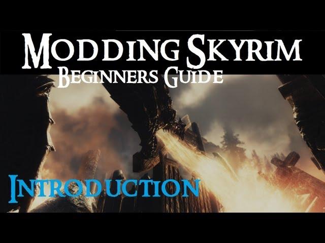 Beginner's Guide to Modding Skyrim : Introduction