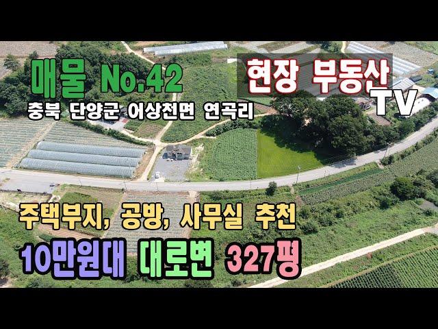 [거래완료.감사합니다]대박 대로변 땅 10만원대  강추 327평 작은 금액대 추천 충북 단양군 어상천면 연곡리 땅 매매 싼땅  조경  한적한 마을 전원주택, 공방, 개인사무실 추천