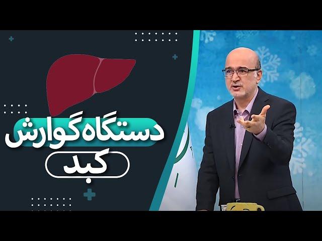 نکات کلی از کبد و دستگاه گوارش در گفتگو با  فوق تخصص گوارش و کبد