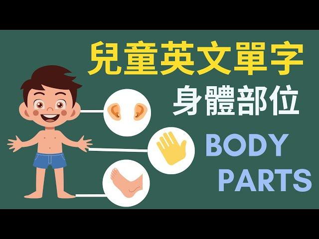 幼兒英文單字｜身體部位｜兒童英文學習｜中英文單字｜雙語教育｜Body Parts in Chinese