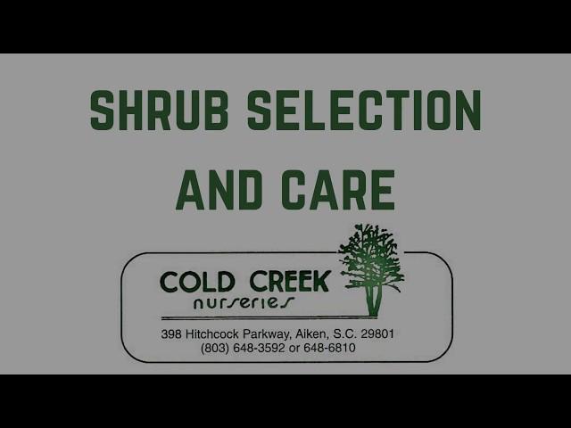 Shrub Selection and Care