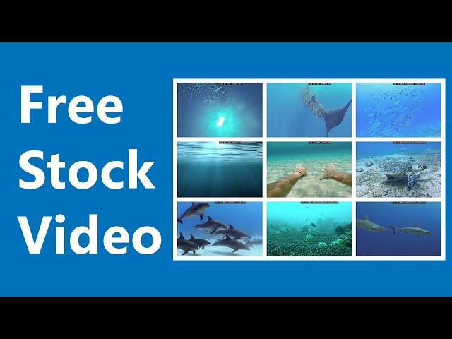 Underwater Stock Video | 2020