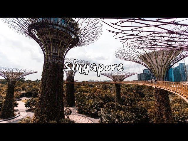 Singapore 2018 | Jakob Lyager Birkedal