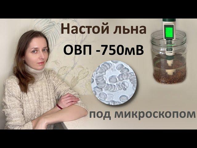 Полезны ли настои с отрицательным ОВП ? Кровь после настоя под микроскопом.