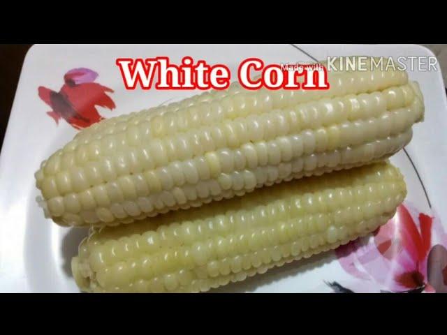 Boiled Corn on a Cob || My Favorite Snack