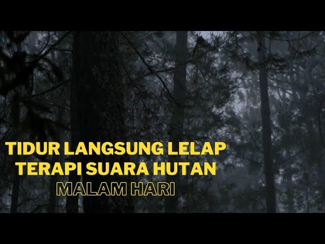 Suara Hutan Malam Hari