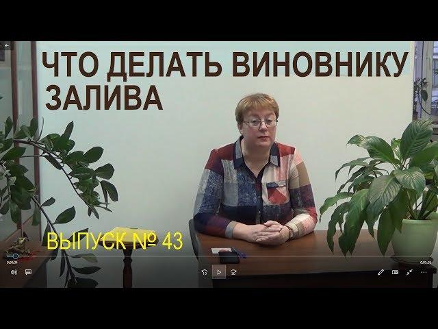 Что делать виновнику залива Выпуск №43