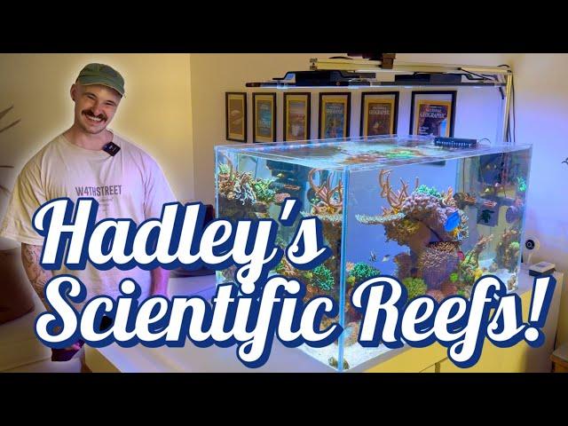 A marine scientist and his reef tanks. Hadley from Sydney Reefing!