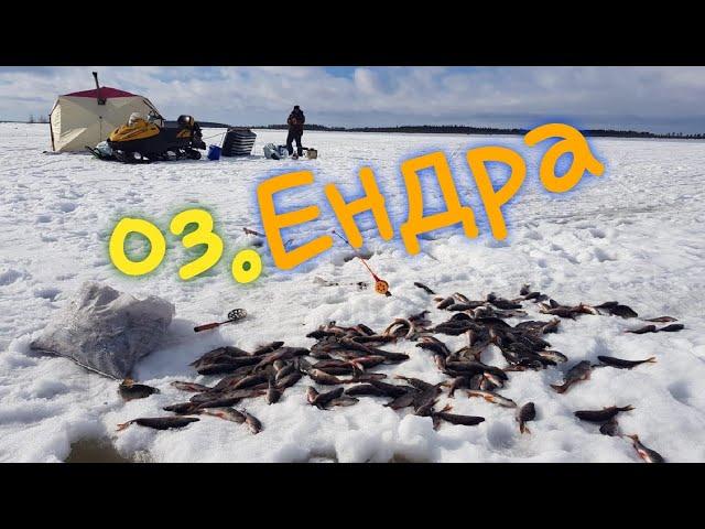 озеро ендра. ХМАО.