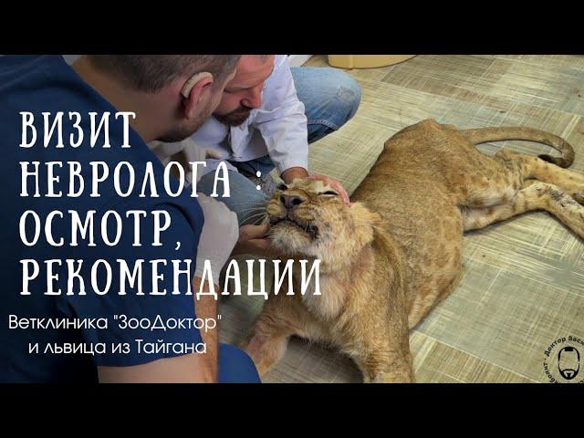 ВСТРЕЧА львицы АСАДЫ С НЕВРОЛОГОМ : дальнейший план действий