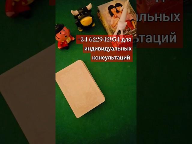 ЧТО ВАС ЖДЁТ  В  ОБОЗРИМОМ БУДУЩЕМ #ТАРО