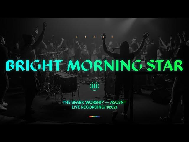 The Spark - Bright Morning Star (Official Music Video)